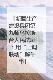 新疆生产建设兵团第九师乌拉斯台人民法庭：用“三调联动”解牛事