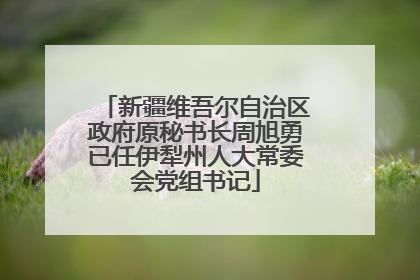 新疆维吾尔自治区政府原秘书长周旭勇已任伊犁州人大常委会党组书记