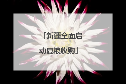 新疆全面启动夏粮收购