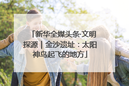 新华全媒头条·文明探源｜金沙遗址：太阳神鸟起飞的地方