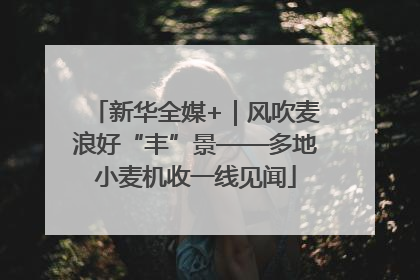 新华全媒+｜风吹麦浪好“丰”景——多地小麦机收一线见闻