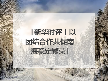新华时评丨以团结合作共促南海稳定繁荣