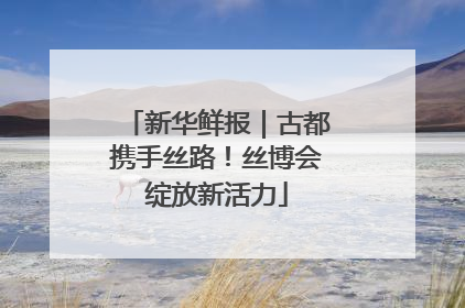 新华鲜报｜古都携手丝路！丝博会绽放新活力