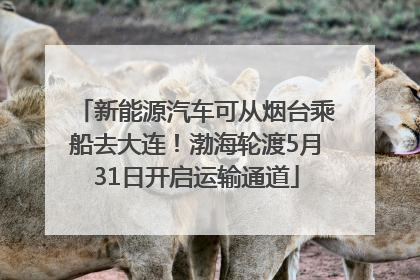新能源汽车可从烟台乘船去大连！渤海轮渡5月31日开启运输通道