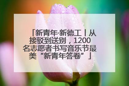 新青年·新德工丨从接驳到送别，1200名志愿者书写音乐节最美“新青年答卷”