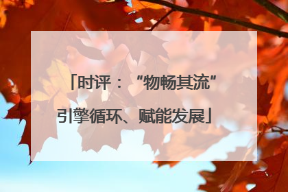 时评：“物畅其流”引擎循环、赋能发展