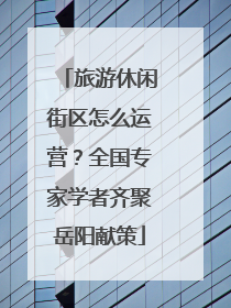 旅游休闲街区怎么运营？全国专家学者齐聚岳阳献策