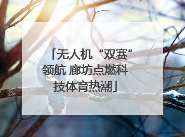 无人机“双赛”领航 廊坊点燃科技体育热潮