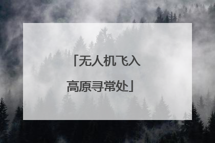 无人机飞入高原寻常处