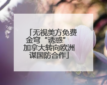 无视美方免费金穹“诱惑” 加拿大转向欧洲谋国防合作