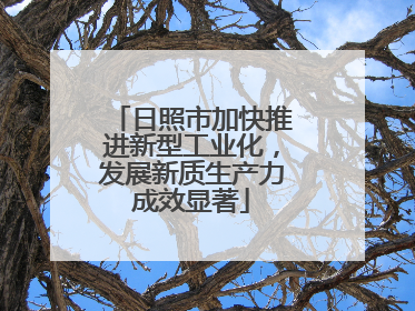 日照市加快推进新型工业化，发展新质生产力成效显著