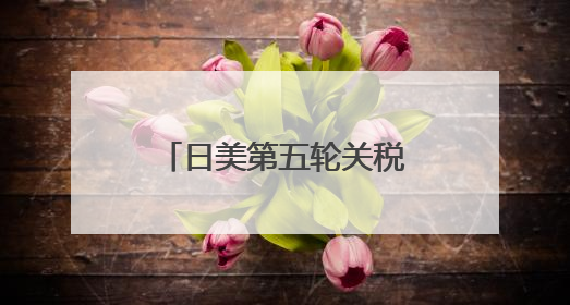 日美第五轮关税谈判“没谈拢”