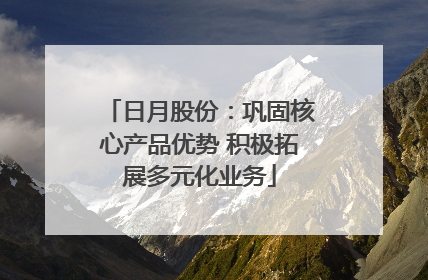 日月股份：巩固核心产品优势 积极拓展多元化业务