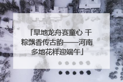 旱地龙舟赛童心 千粽飘香传古韵——河南多地花样迎端午
