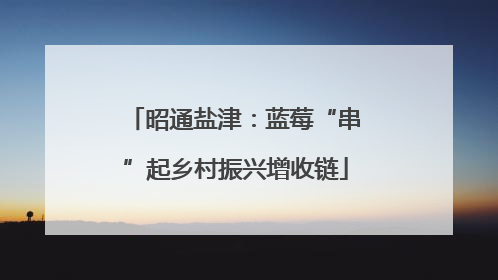 昭通盐津：蓝莓“串”起乡村振兴增收链