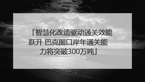 智慧化改造驱动通关效能跃升 巴克图口岸年通关能力将突破300万吨