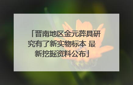 晋南地区金元葬具研究有了新实物标本 最新挖掘资料公布