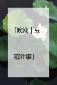 晚潮｜豆蔻往事