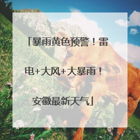 暴雨黄色预警！雷电+大风+大暴雨！安徽最新天气
