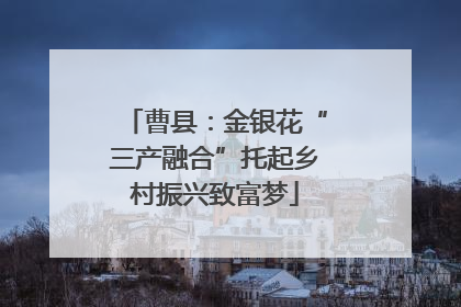 曹县：金银花“三产融合”托起乡村振兴致富梦