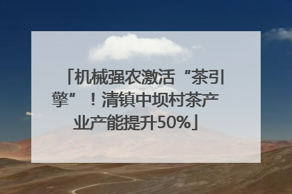 机械强农激活“茶引擎”！清镇中坝村茶产业产能提升50%