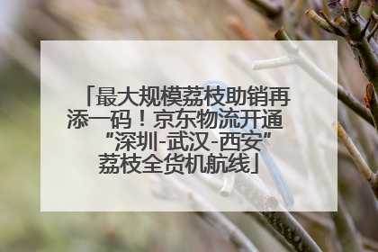 最大规模荔枝助销再添一码！京东物流开通“深圳-武汉-西安” 荔枝全货机航线