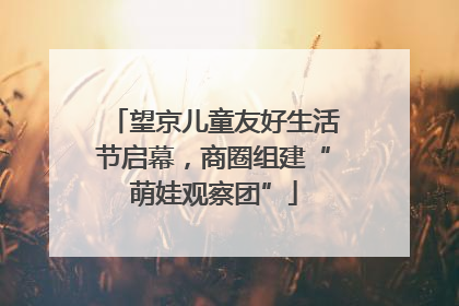 望京儿童友好生活节启幕，商圈组建“萌娃观察团”