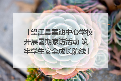 望江县雷池中心学校开展暑期家访活动 筑牢学生安全成长防线