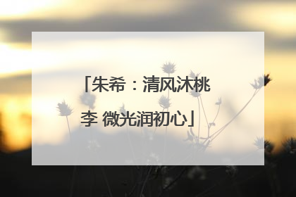 朱希：清风沐桃李 微光润初心