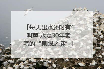 每天出水还时有牛叫声 永嘉30年老宅的“泉眼之谜”