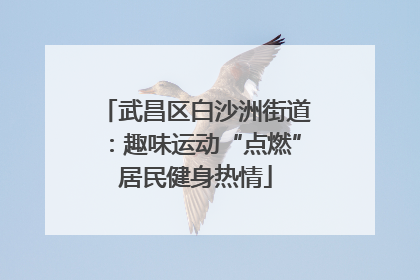武昌区白沙洲街道：趣味运动“点燃”居民健身热情