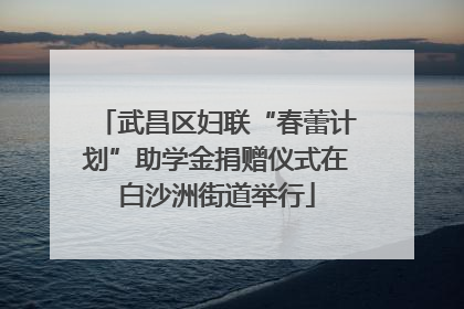 武昌区妇联“春蕾计划”助学金捐赠仪式在白沙洲街道举行