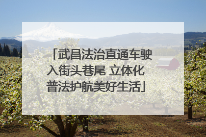 武昌法治直通车驶入街头巷尾 立体化普法护航美好生活