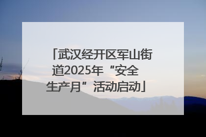 武汉经开区军山街道2025年“安全生产月”活动启动