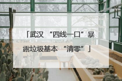 武汉 “四线一口”暴露垃圾基本 “清零”