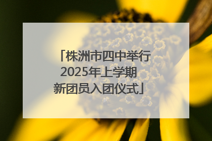 株洲市四中举行2025年上学期新团员入团仪式
