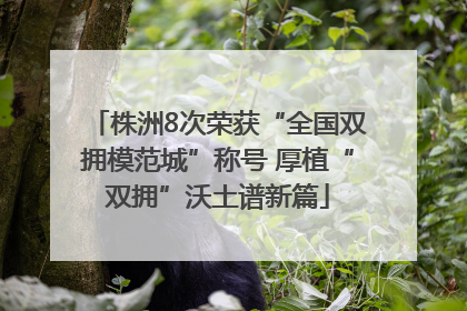 株洲8次荣获“全国双拥模范城”称号 厚植“双拥”沃土谱新篇