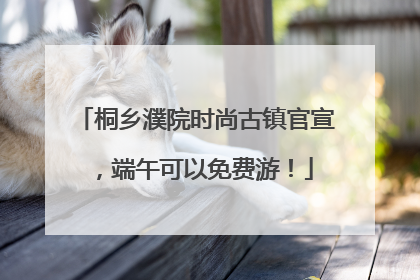桐乡濮院时尚古镇官宣，端午可以免费游！