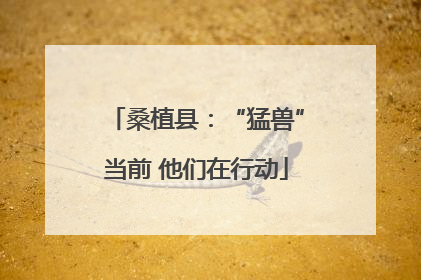 桑植县：“猛兽”当前 他们在行动