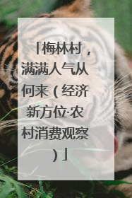 梅林村，满满人气从何来（经济新方位·农村消费观察）