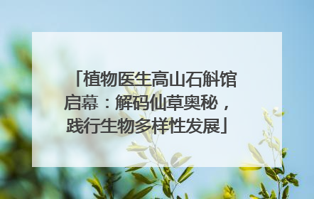植物医生高山石斛馆启幕：解码仙草奥秘，践行生物多样性发展