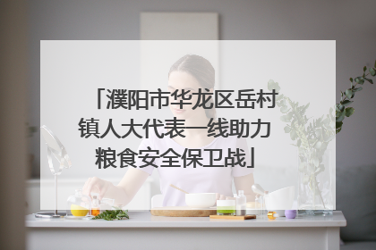 濮阳市华龙区岳村镇人大代表一线助力粮食安全保卫战