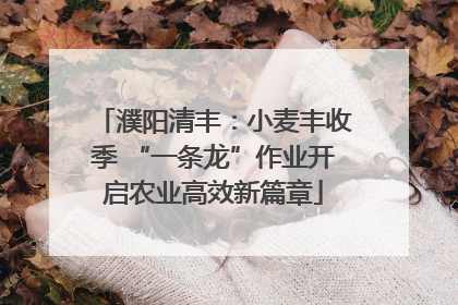 濮阳清丰：小麦丰收季 “一条龙”作业开启农业高效新篇章