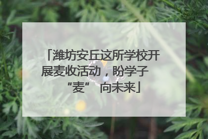 潍坊安丘这所学校开展麦收活动，盼学子 “麦” 向未来
