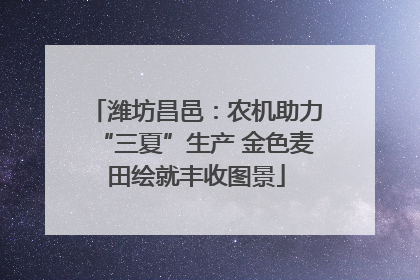潍坊昌邑：农机助力“三夏”生产 金色麦田绘就丰收图景
