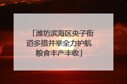 潍坊滨海区央子街道多措并举全力护航粮食丰产丰收