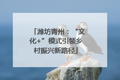 潍坊青州：“文化+”模式引领乡村振兴新路径