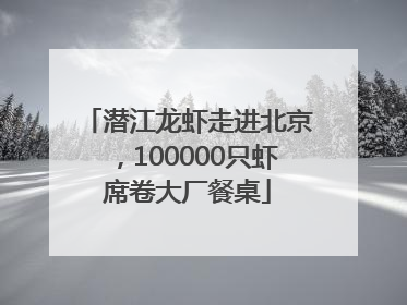 潜江龙虾走进北京，100000只虾席卷大厂餐桌