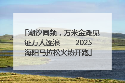 潮汐同频，万米金滩见证万人逐浪——2025海阳马拉松火热开跑