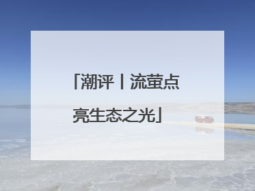 潮评丨流萤点亮生态之光